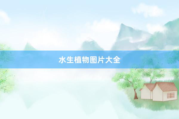 水生植物图片大全