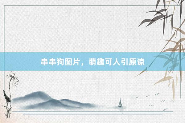串串狗图片，萌趣可人引原谅