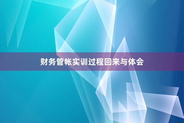 财务管帐实训过程回来与体会